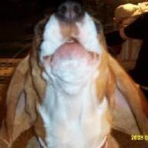 Meet your Posher, Anne